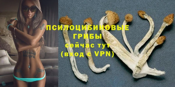 МДМА Няндома