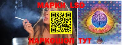 шишки Кандалакша