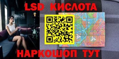 круглые Камышлов