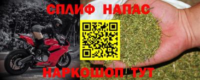 шишки Кандалакша