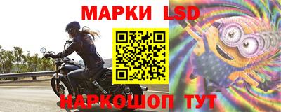 шишки Кандалакша