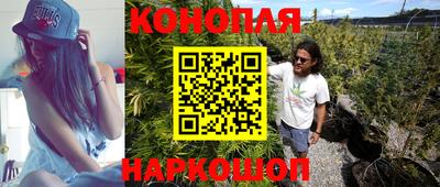 шишки Кандалакша