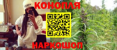 шишки Кандалакша