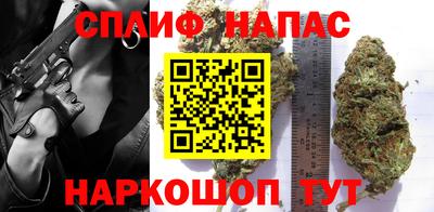 шишки Кандалакша