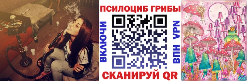 где купить наркоту Хабаровск omg ONION Псилоцибиновые грибы мицелий