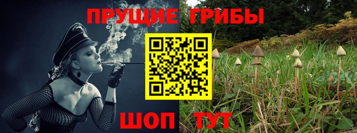 как найти закладки  Хабаровск  Псилоцибиновые грибы мухоморы 