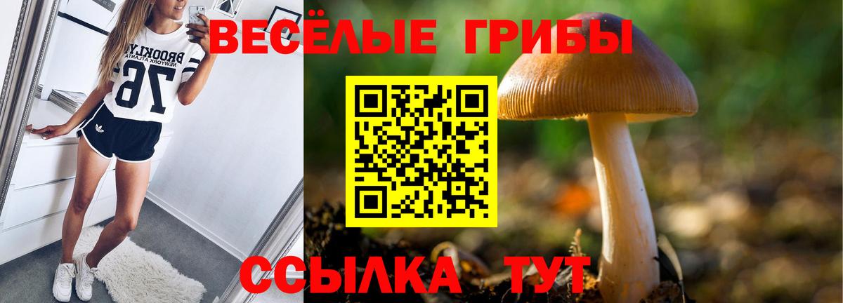 Галлюциногенные грибы MAGIC MUSHROOMS  Вход с VPN  Хабаровск 